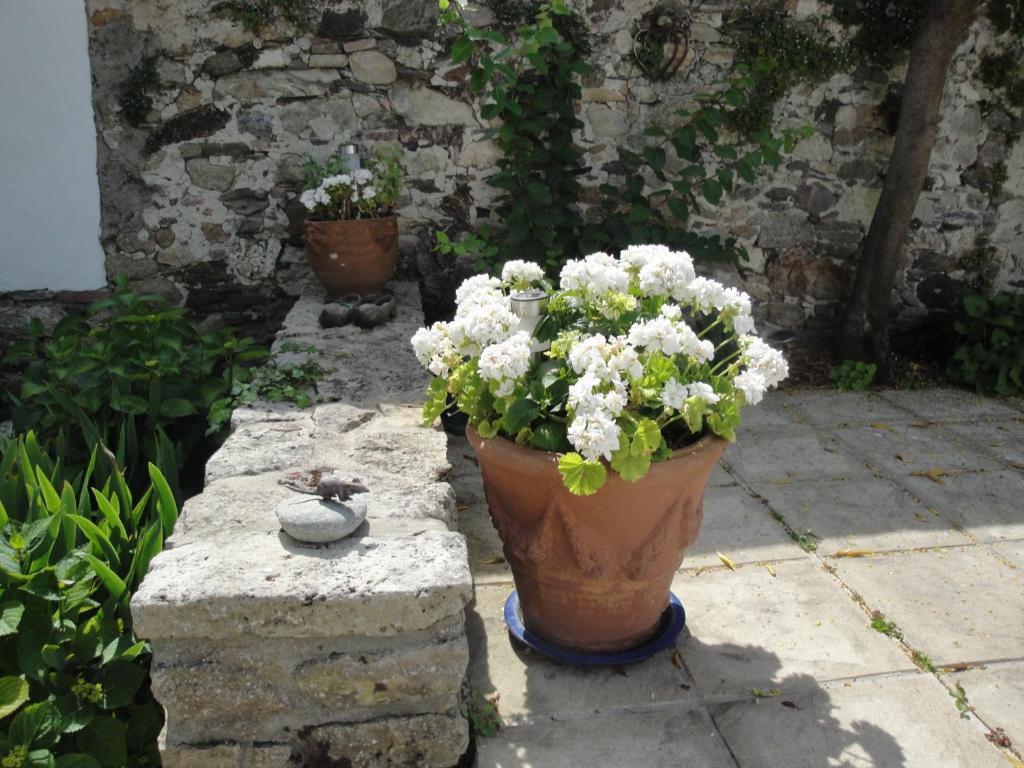 Le Buzet Bleu Bed&Breakfast Noirmoutier-en-l'Ile Exterior foto